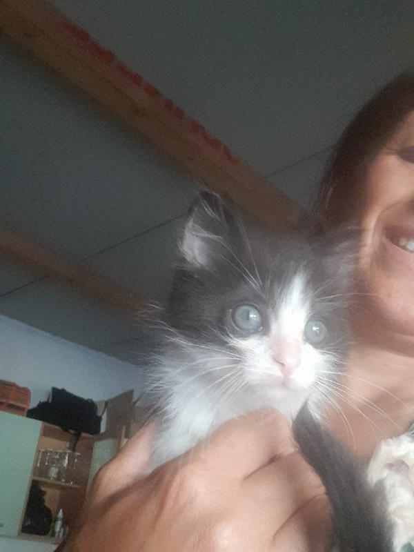 🐾💛"Matisse Cerca Mani Amorevoli"💕🧑🏻‍🧑🏻‍🧒🏻